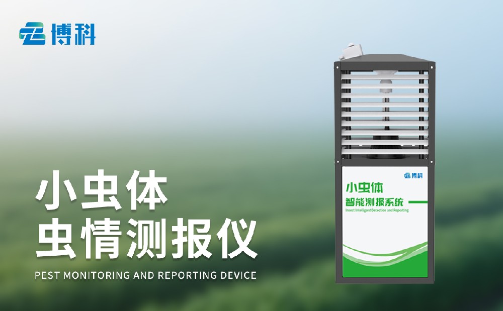 小蟲體蟲情測報(bào)儀